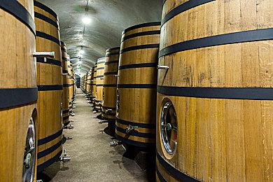 基于动画剧集《少女特工组》游戏明年发售 登陆PC及主机